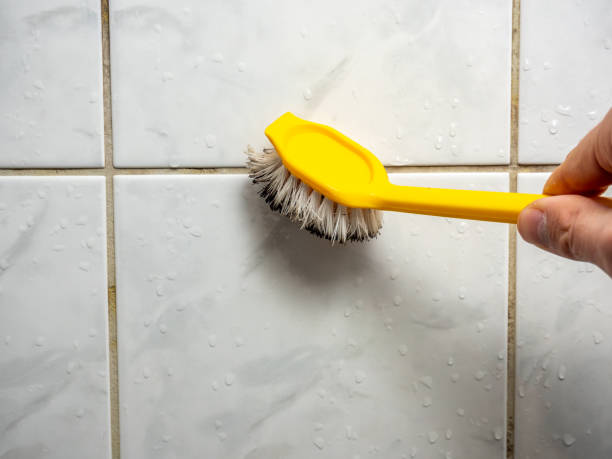 Best Post-Remediation Services in East Vineland, NJ
