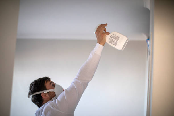 Best Post-Remediation Services in East Vineland, NJ