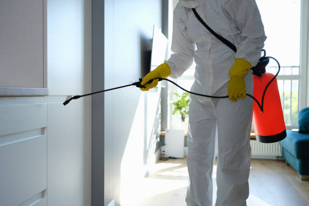 Best Mold Testing and Inspection Services in East Vineland, NJ
