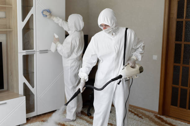 Best Mold Testing and Inspection Services in East Vineland, NJ