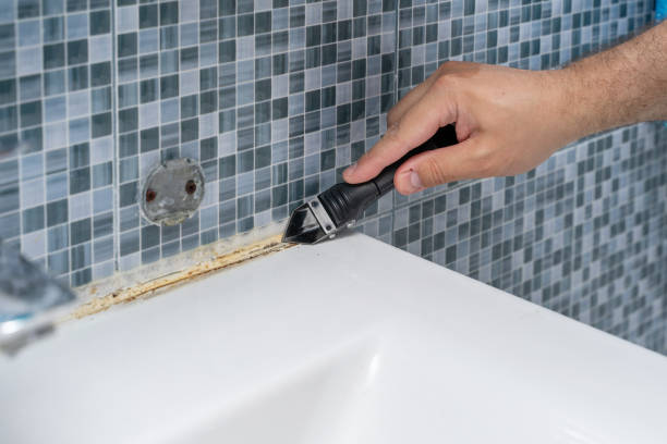  East Vineland, NJ Mold Removal Pros